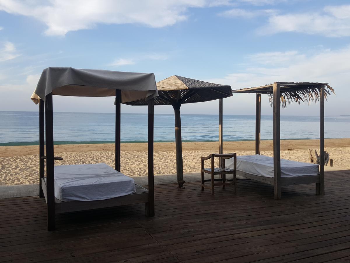 El Papalote Ecologico Hotel Borrego Luaran gambar
